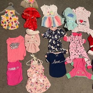 Colorful Girl Dog Apparel Collection